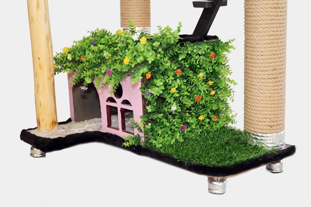 Домики кошек и котят