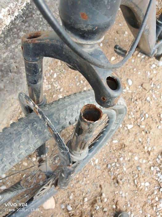 Велик спартивный