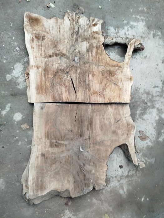 Шайби от корен на орех