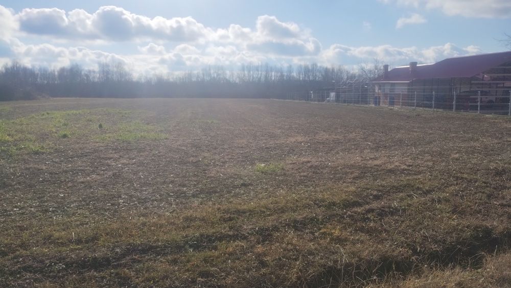 Vind 6700m teren intravilan