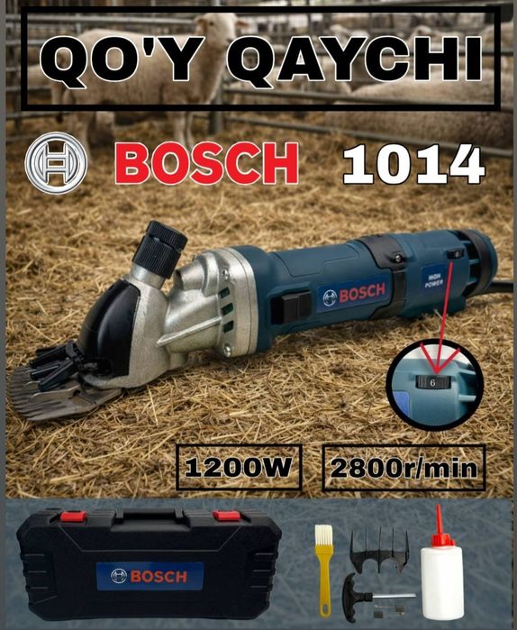 Qoy moshinka mashinka qoy