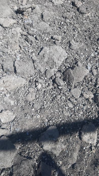 Навоз ,үй қүсының көңі