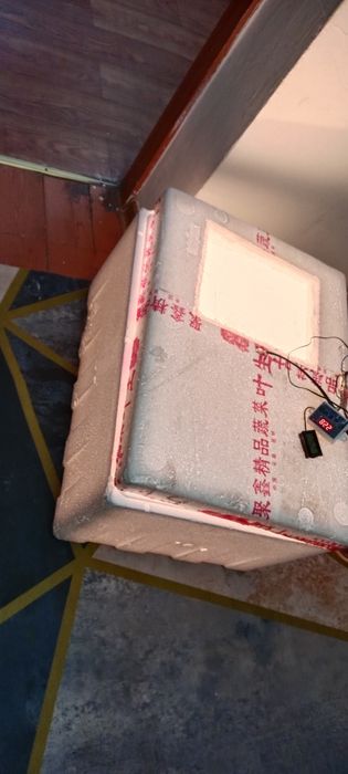 Пенопласт инкубатор