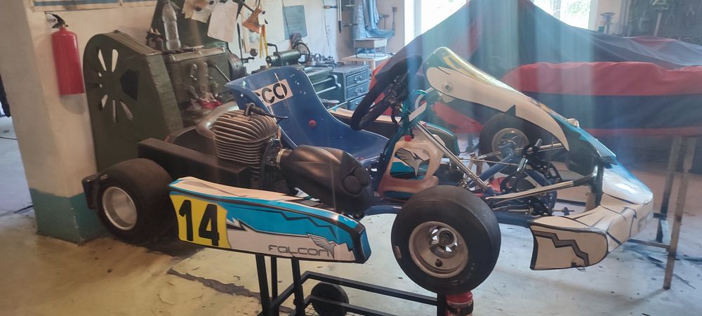 Картинг профессиональный