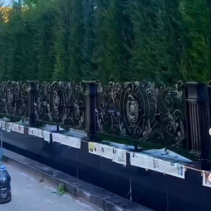 Temir Darvoza,Naves,Eshik,va Panjaralar