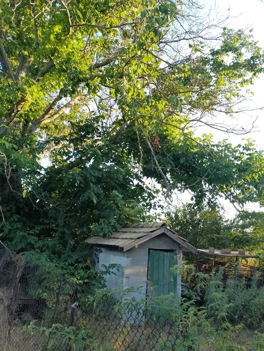 Продава се Къща в с. Равнец, Област Добрич - 1150 кв.м за 38 €/кв.м - Снимка #4