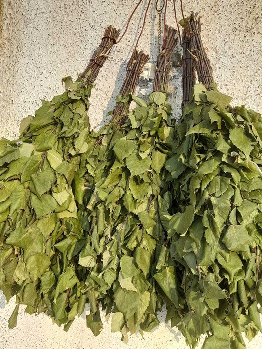 продам   веники  .  берёзовые    600 т.