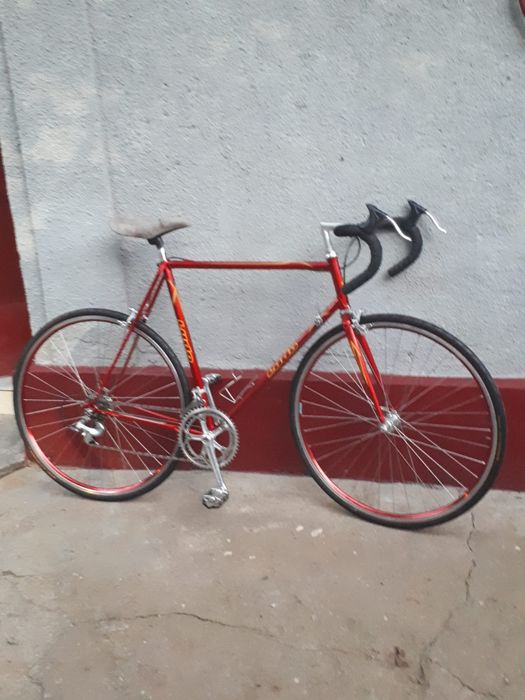 Cursieră LUDO Belgia-clasică