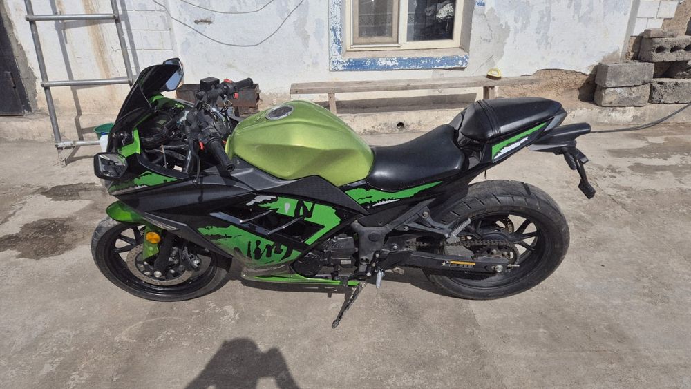 Kawasaki Ninja 250r