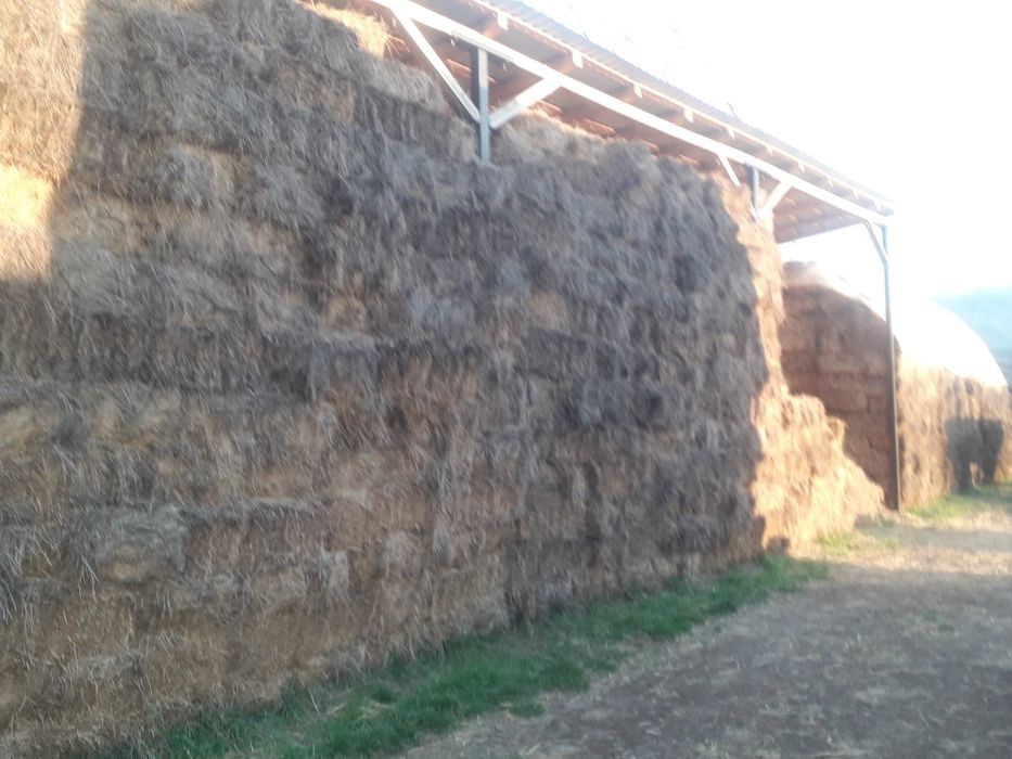 Vand baloti de lucerna