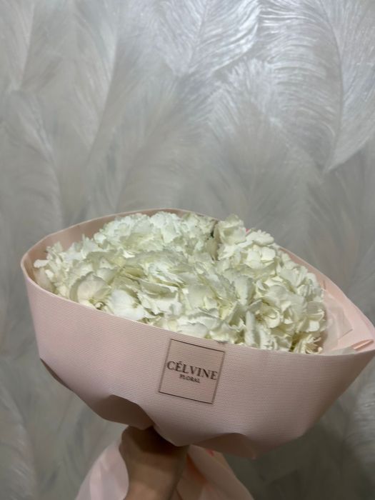 цветы в хорошем состоянии