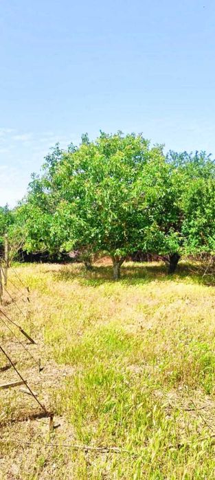 Продава се Къща в с. Могилище, Област Добрич - 60 кв.м за 1084 €/кв.м - Снимка #9