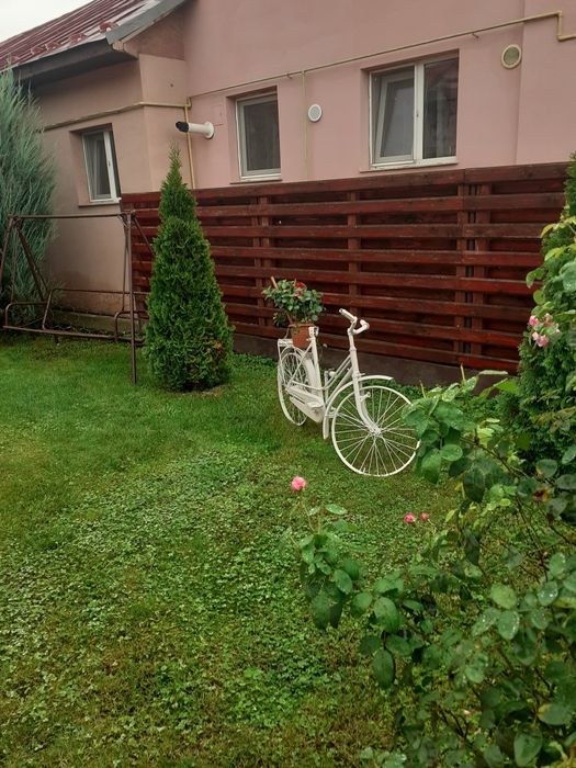 TUND /TAI / TOALETARE vita vie .pomi.flori