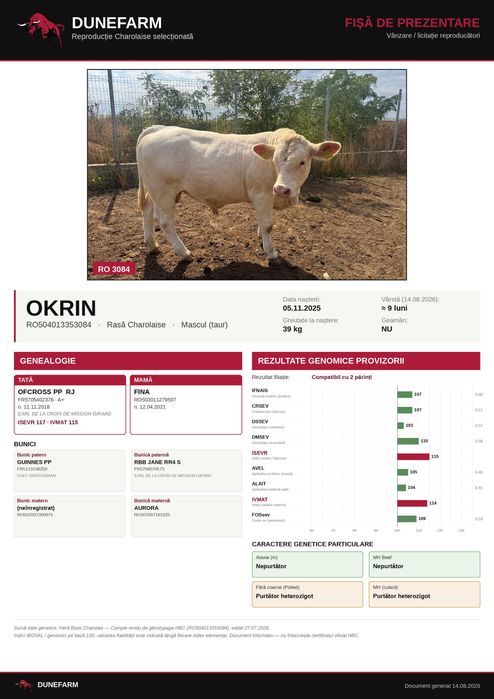 Tăuri Charolaise cu certificat genetic Franța – DUNEFARM