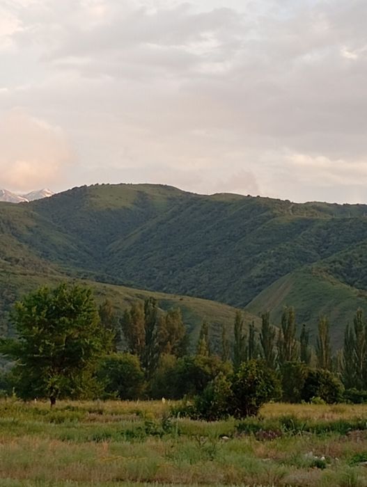 Продается дом-дача