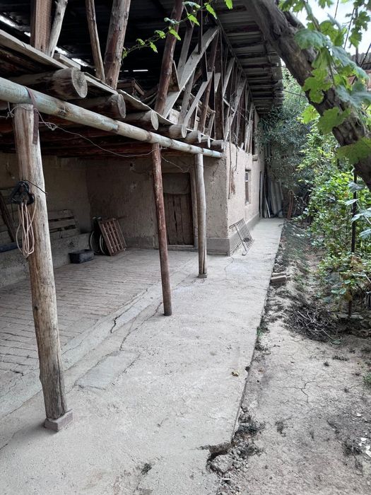 Зангиота, 8 соток ховли сотилади