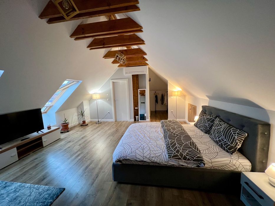 STUDIO DE ÎNCHIRIAT – VILLA NIKOLAS BY THE LAKE, GEACA, Cluj