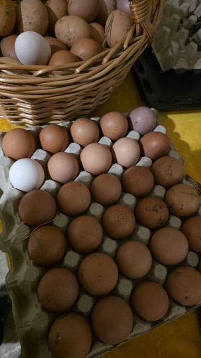 Sătul de oua fara gust? astea chiar sunt diferite