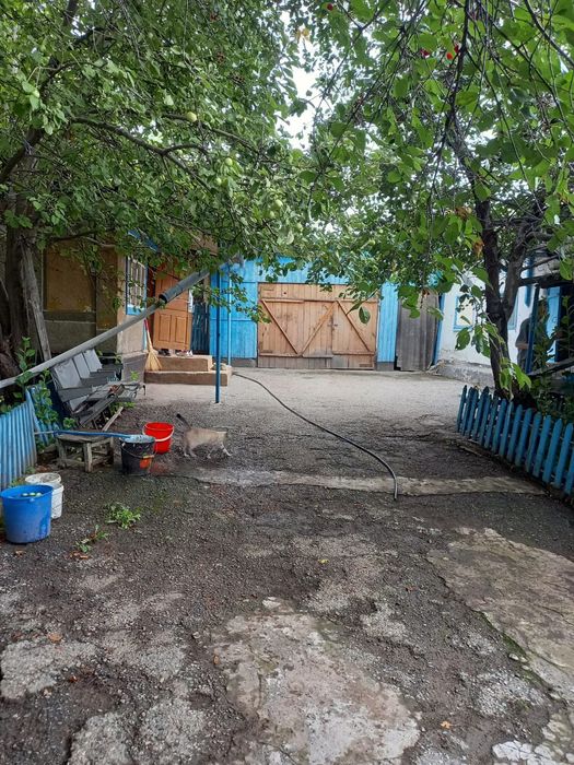 Продам дом, село Сырымбет