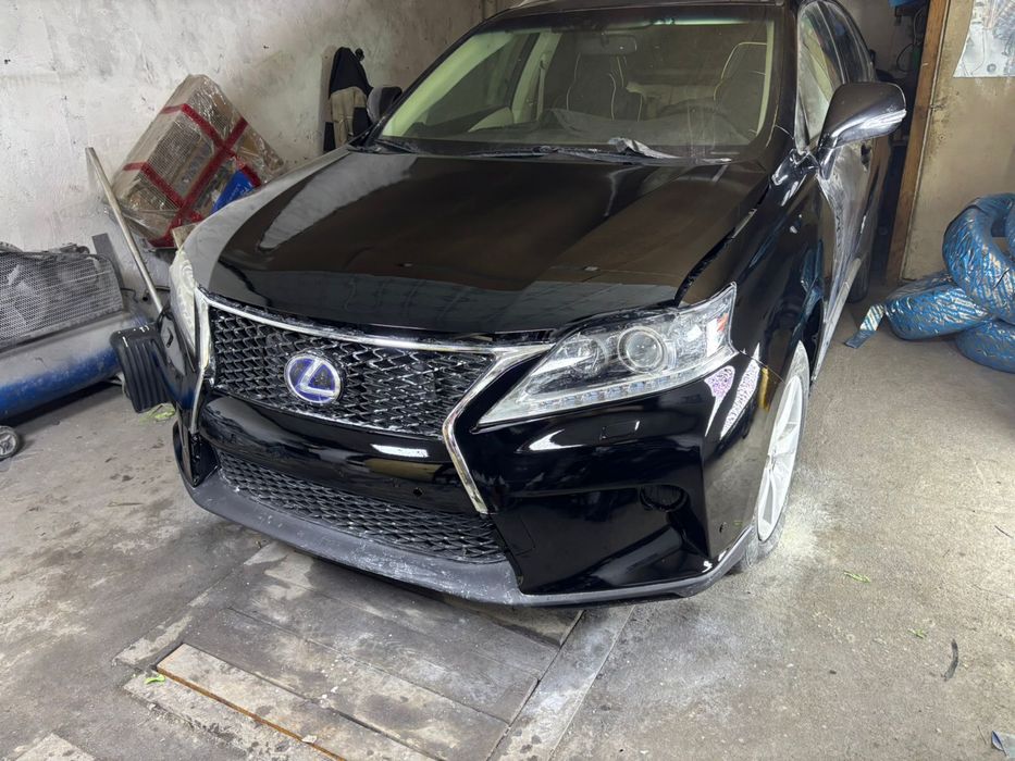 Костоправ маляр