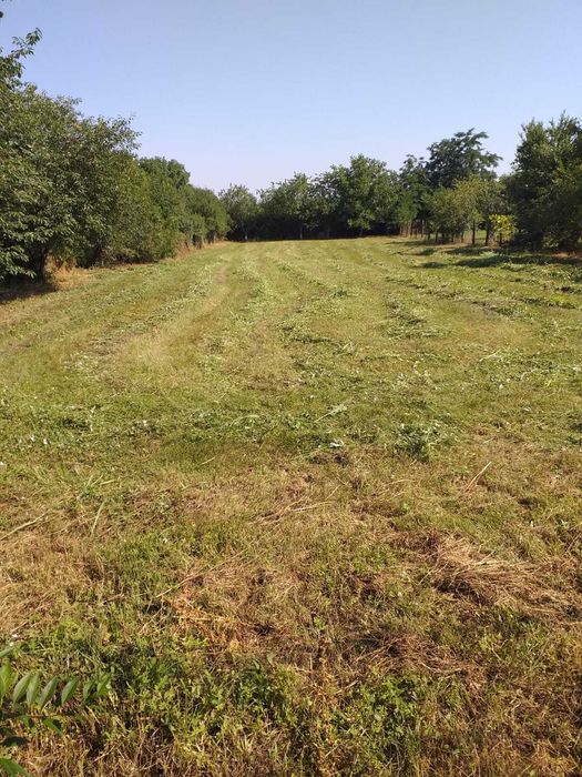 Teren intravilan Ciolpani – 1.375 mp – Str. Negustorilor – asfalt, utilități