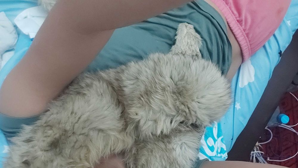 Gulere de vulpe poara argintie si o caciula