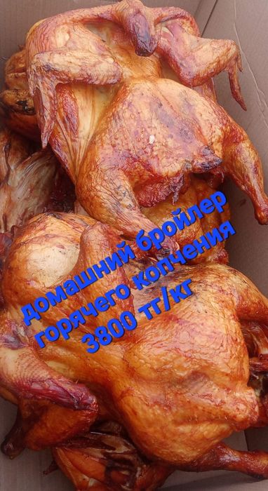 Продам бройлера горячего копчения.