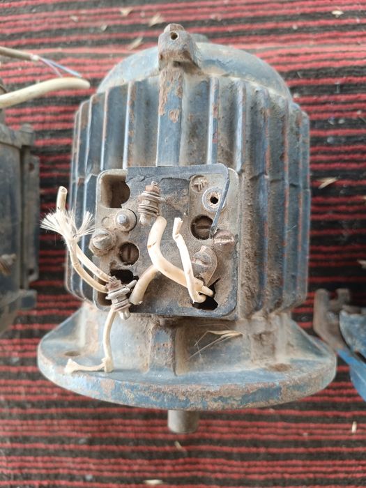 Электродвигитель