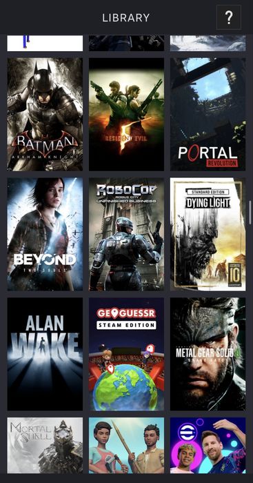 Жир Аккаунт Steam  Много Игр