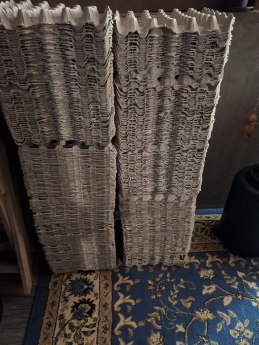 Vând cofraje ouă, folosite o singura data!