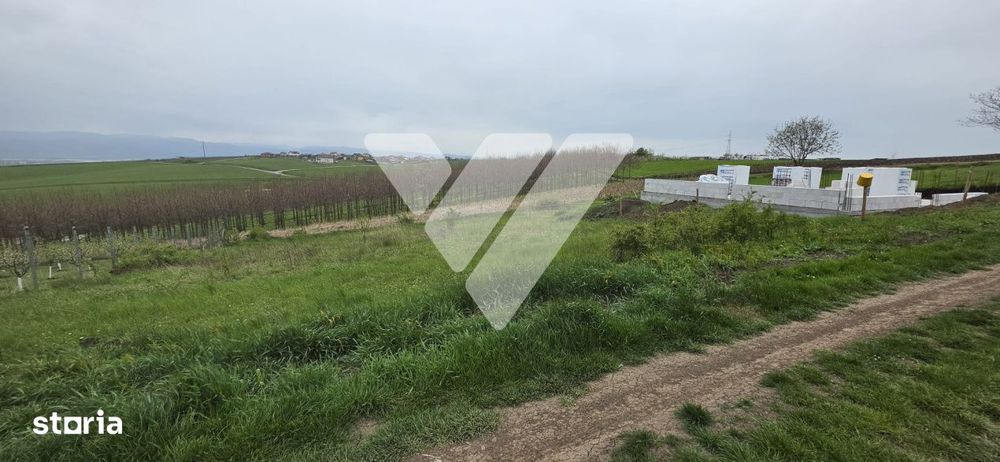 Investitie - Teren intravilan 536 mp Sura Mare ideal constructii