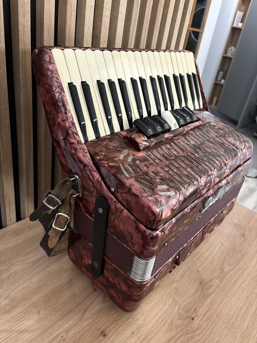 Acordeon Parrot cu 72 de basi