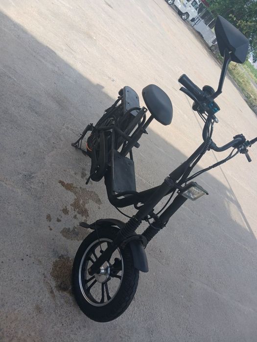 Skuter monster (
