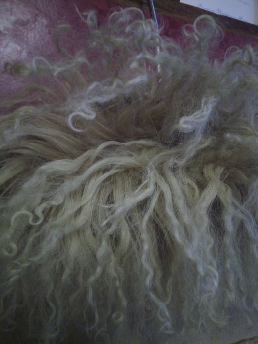 Дамски къс кожух