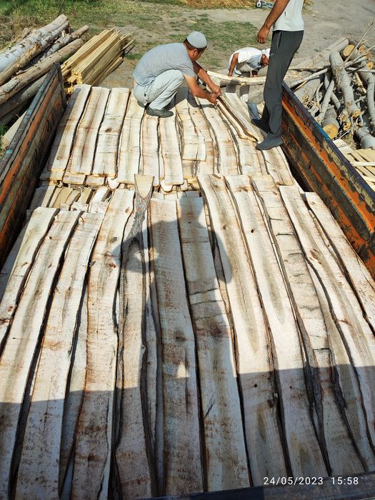 Terak mahsulotlari optim narhda