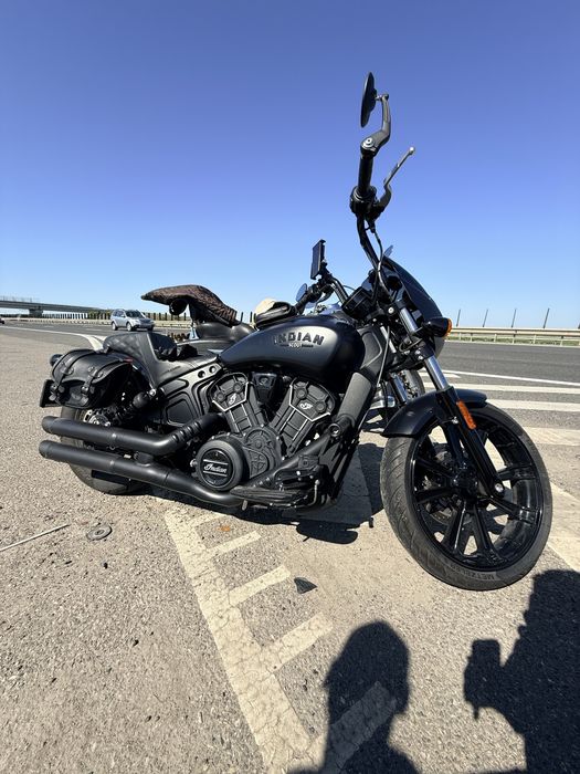 Indian Scout Rogue