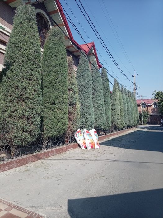 Archa kesish va izgritga  shakl berish xizmati