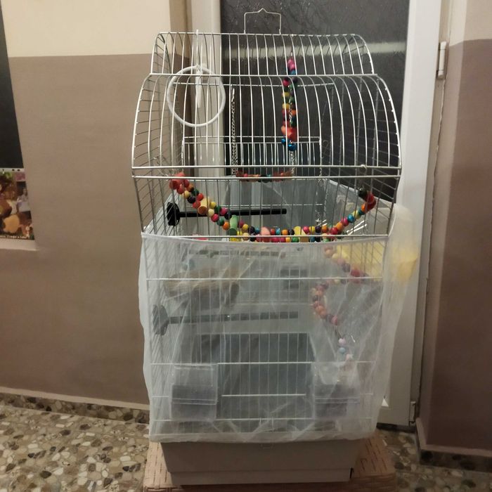 Оборудвана клетка за птици