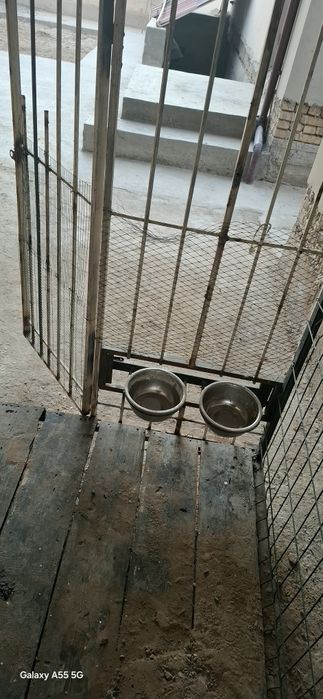 Клетка (Вольер) для собак.