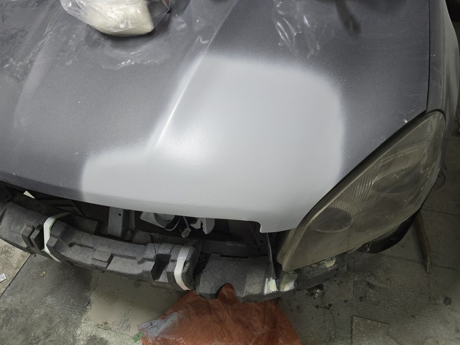 Маляр костоправ доступные цены