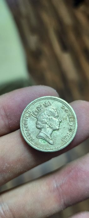 Moneda 1 Lira Elizabeth a,2a anu 1993