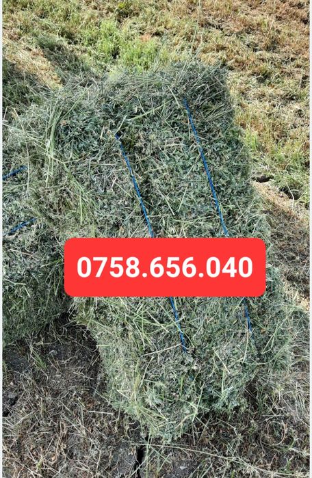 ‼️Baloti de lucerna și baloți de paie de grâu‼️