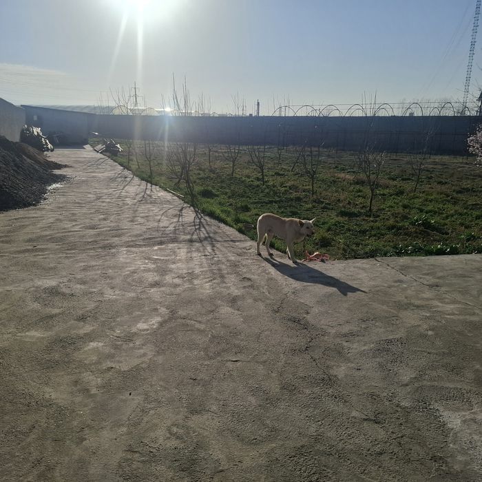Земля под бизнес