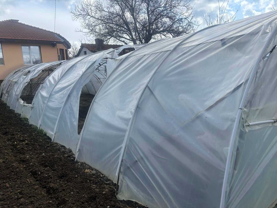 Оранжерия 25x6м метална