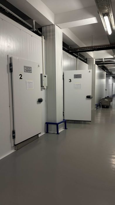 Сдается в аренду