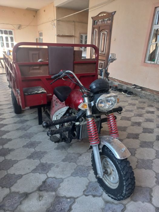 Муравей, New Star