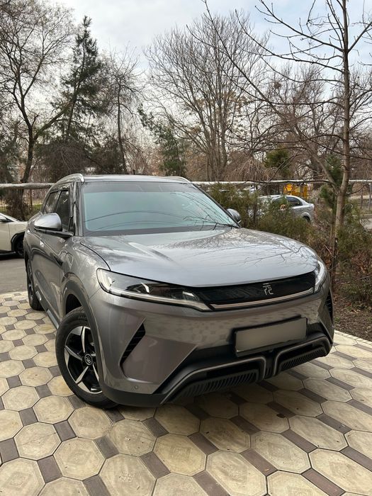 BYD Yuan up 2024 год