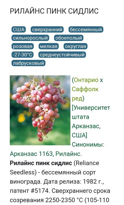 Продам чибуки черенки местного винограда