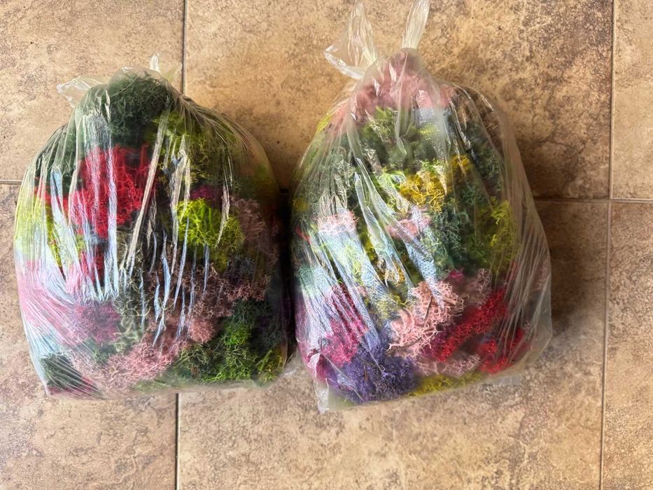 Скандинавски мъх