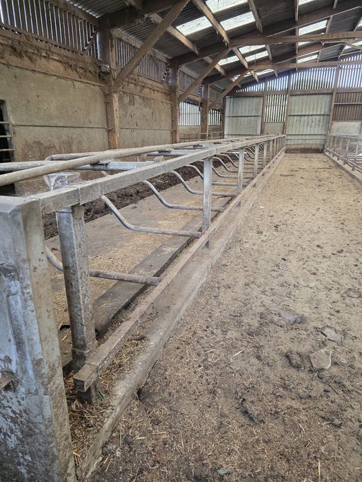 Cusete pentru vaci panouri despartitoare paturi grajd stabulatie